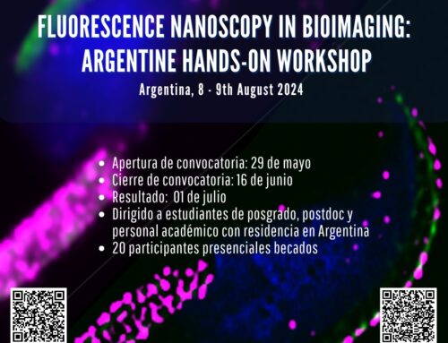 Fluorescence Nanoscopy in Bioimaging Workshop