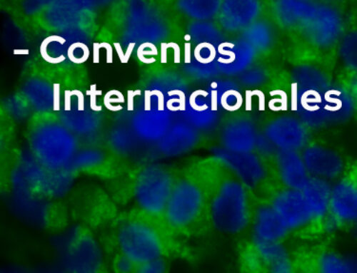 Convenios Internacionales