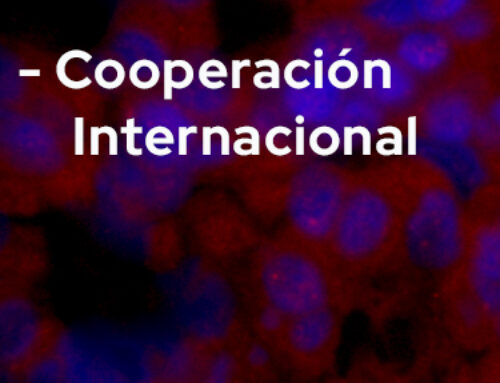 Cooperación Internacional