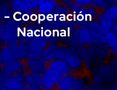 Cooperación Nacional