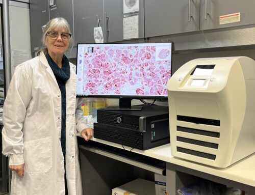 Donación Fundación Sales