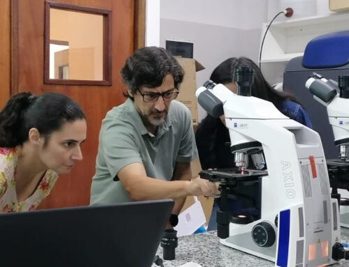 Capacitación en Microscopía Confocal