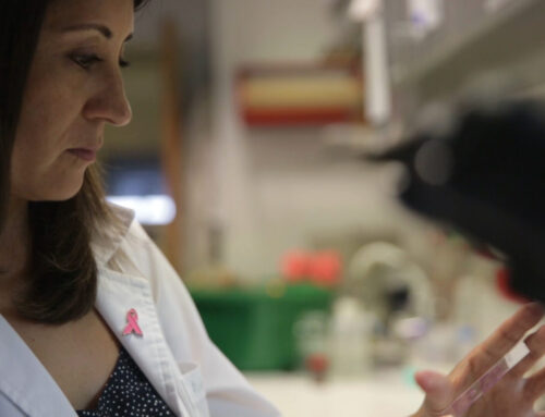 Día Internacional de Lucha contra el Cáncer de Mama