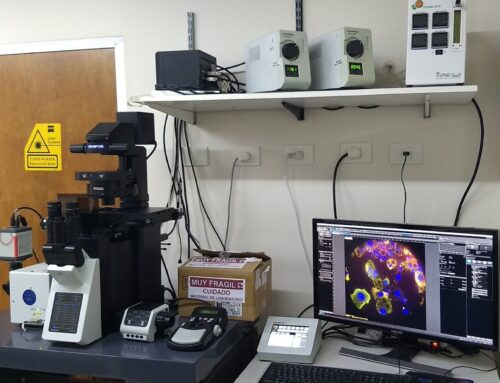 Donación para la Adquisición de Accesorios para Microscopio – Fundación Williams y Fundación Lucio Cherny.