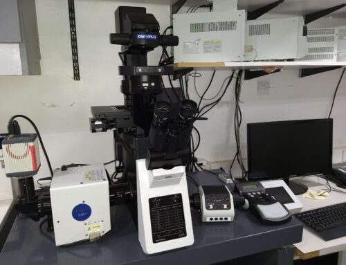 Donación para la adquisición de Equipamiento Informático y Accesorios Científicos – Fundación Williams