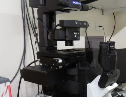 Donación para la Adquisición de Accesorios para Microscopio