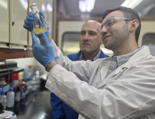 Avances en diagnóstico de tuberculosis bovina