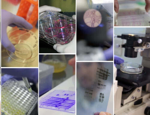 Día de la Ciencia y la Tecnología