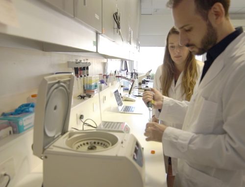 Del laboratorio a la clínica: resultados prometedores en reproducción asistida